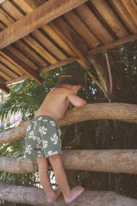 Honolulu Board Shorts - Olive