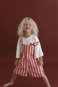 Red/Pink Stripe Denim Overalls